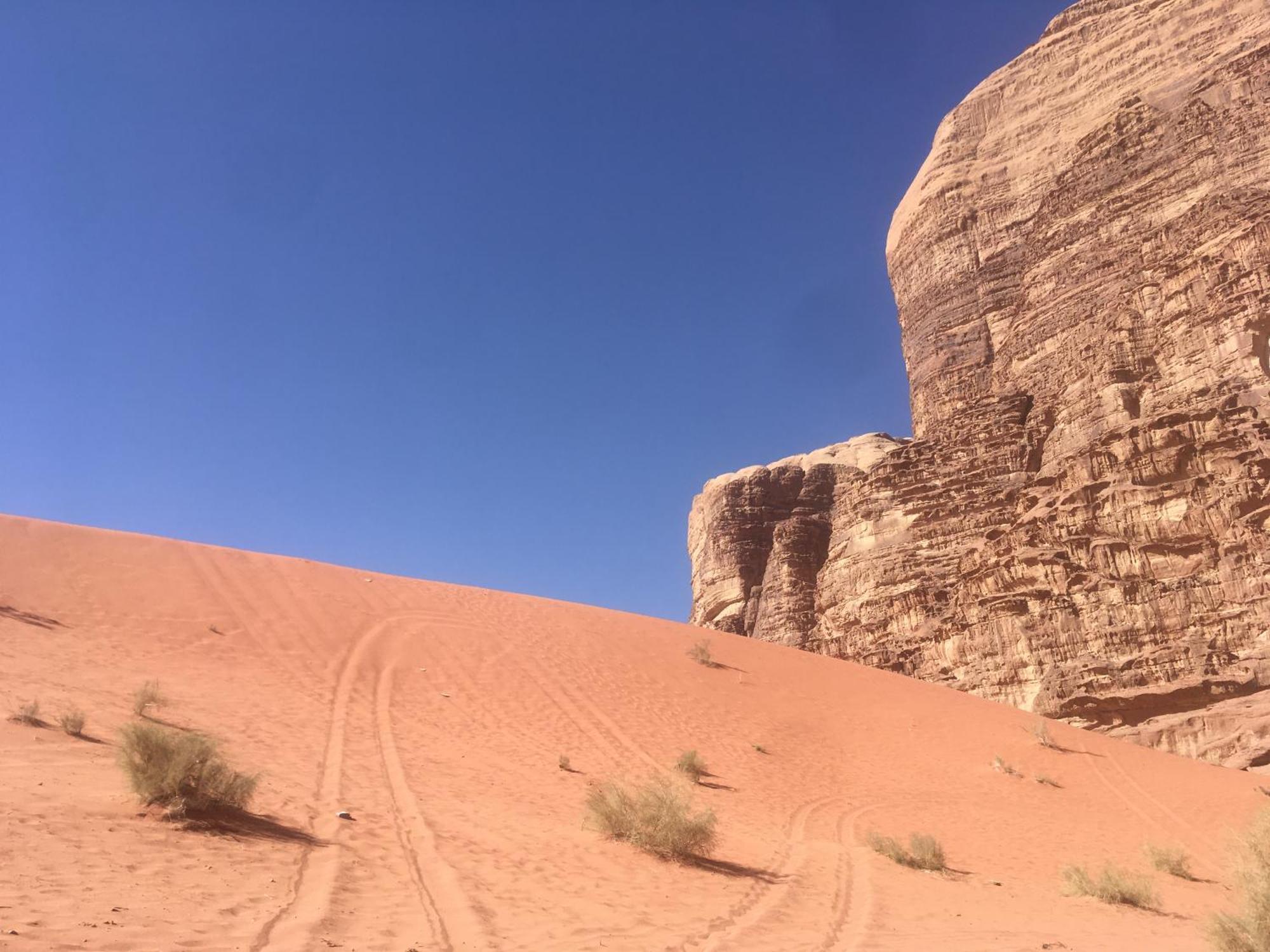 Wild Of Wadi Rum Exterior foto