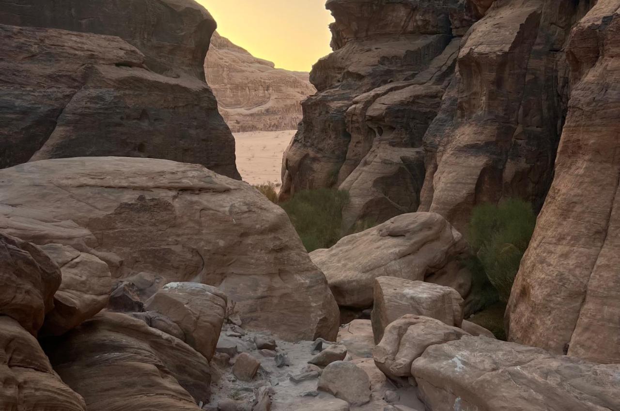 Wild Of Wadi Rum Exterior foto