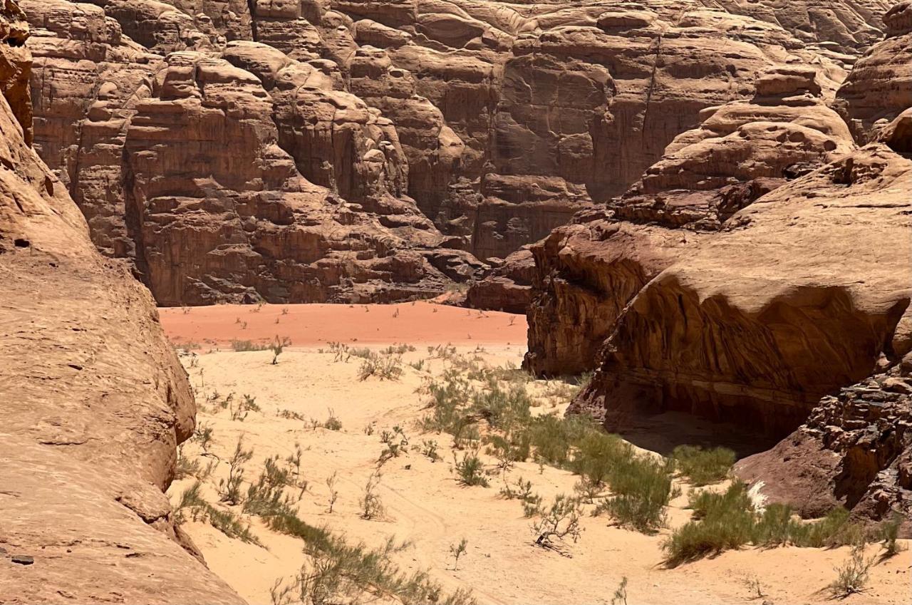 Wild Of Wadi Rum Exterior foto