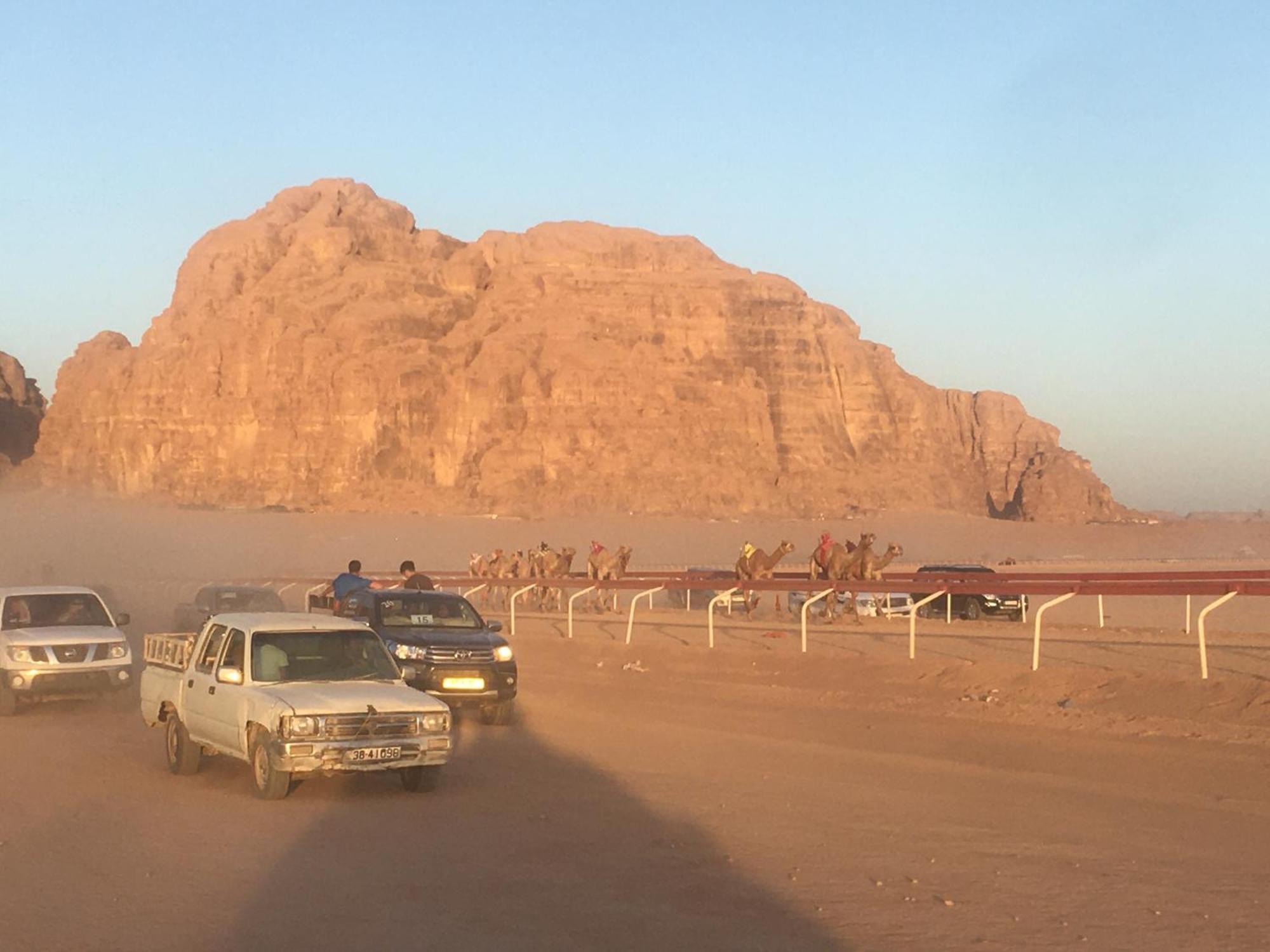 Wild Of Wadi Rum Exterior foto