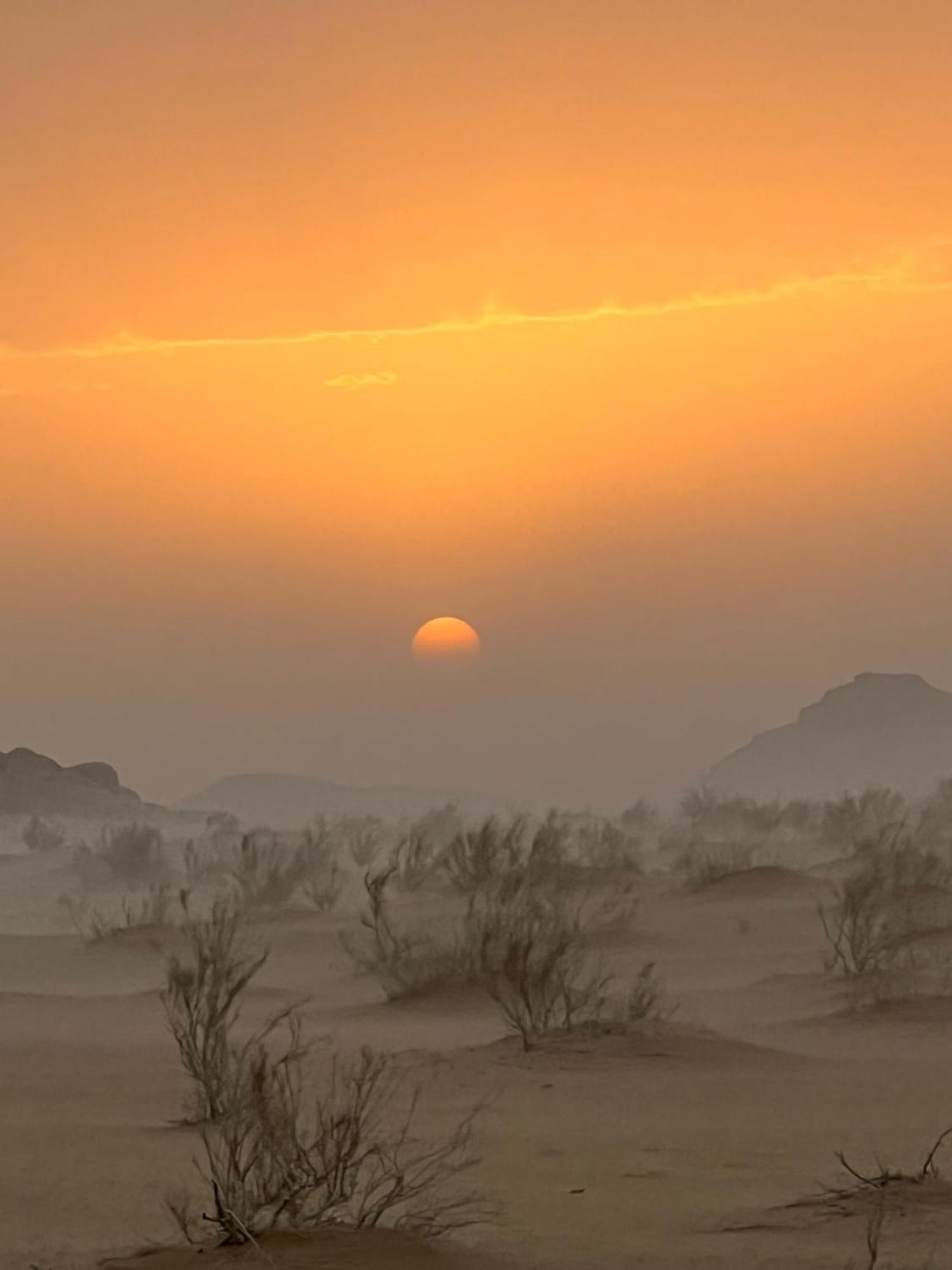 Wild Of Wadi Rum Exterior foto